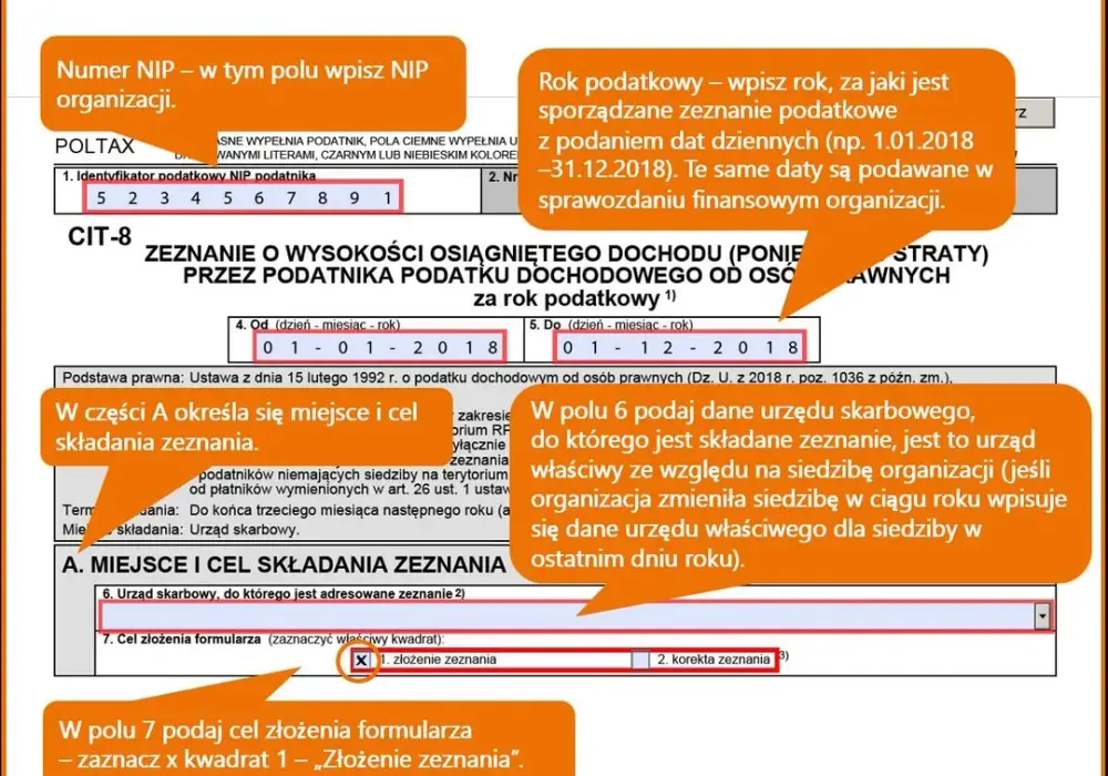 Jak wypełnić CIT-8 w instytucji kultury bez błędów i stresu