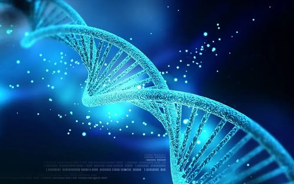 Kto odkrył DNA? Odkryj tajemnice współpracy naukowców