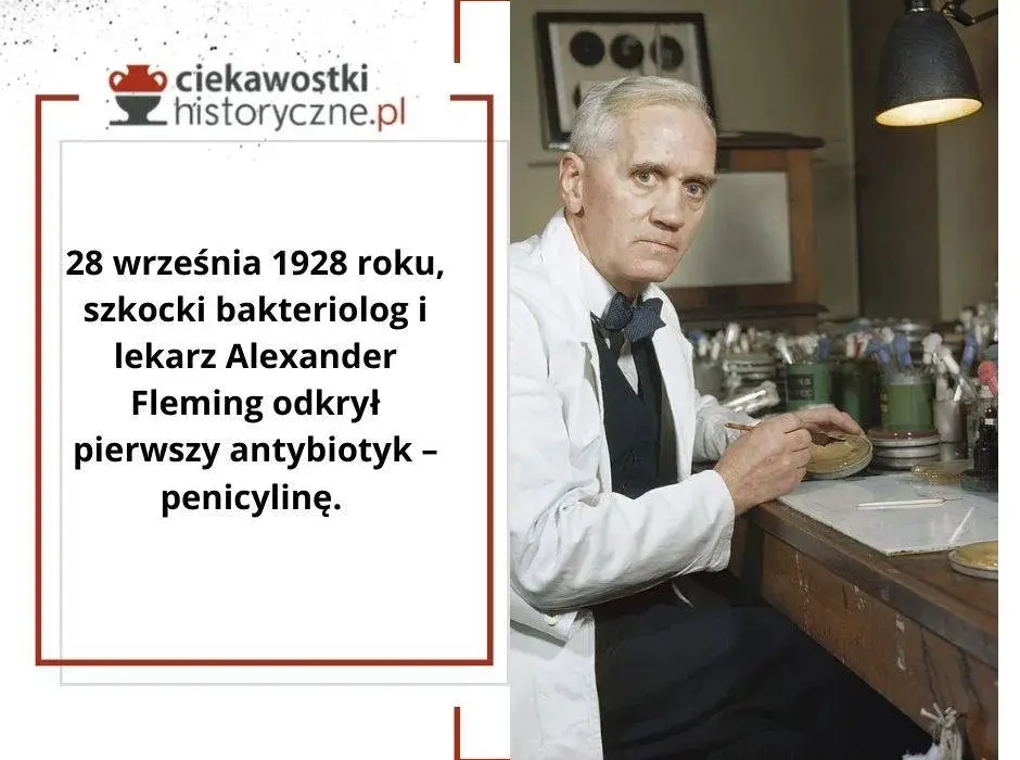 Kto odkrył bakterie? Zaskakujące fakty o pierwszym odkryciu mikroorganizmów