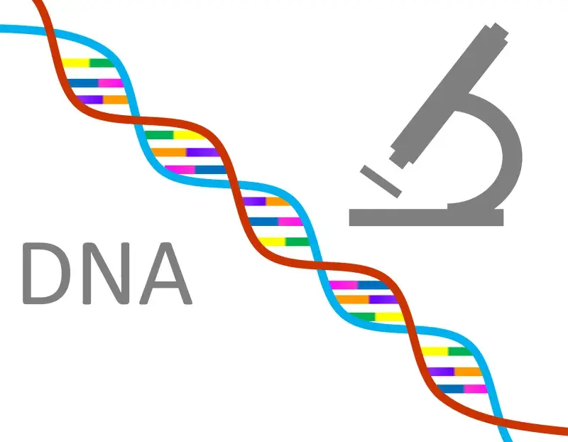 Kiedy wynaleziono badania DNA i jak zmieniły kryminalistykę