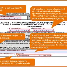 Jak wypełnić CIT-8 w instytucji kultury bez błędów i stresu