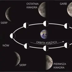 Cykl faz Księżyca wokół Ziemi, ukazujący jego powierzchnię od nowiu po pełnię.