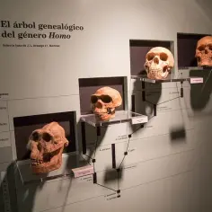 Kto był pierwszy na świecie? Odkryj fascynujące historie i fakty