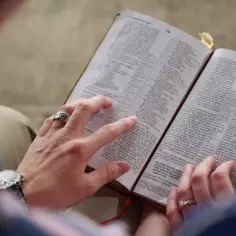 Dłonie pary trzymają otwartą Biblię, palec wskazujący jednego z nich podkreśla fragment. W tle widać fragmenty ubrań i kamienną posadzkę, przypominającą krajobraz kanaan.