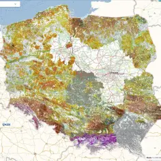 Mapa Polski z danymi z lidar, pokazująca zróżnicowane pokrycie terenu w odcieniach zieleni, brązu i fioletu.