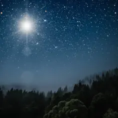 Nocne niebo pełne gwiazd nad mglistym lasem. Jasna gwiazda świeci niczym latarnia.