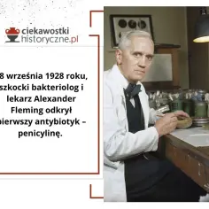 Kto odkrył bakterie? Zaskakujące fakty o pierwszym odkryciu mikroorganizmów