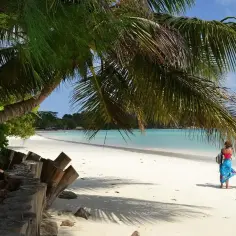 Rajska plaża z palmami, turkusową wodą i dwiema osobami. Tak właśnie wyglądają Seszele, gdzie leżą te rajskie wyspy.