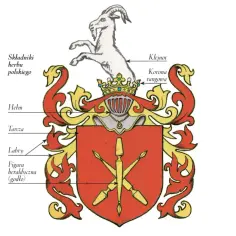 Ilustracja przedstawia polskie herby szlacheckie z elementami: klejnot, korona, hełm, tarcza, labry i godło.