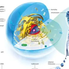 Odkrycia biologiczne, które zmieniły świat i wpłynęły na nasze życie
