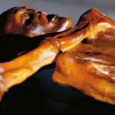 Mumifikowane ciało Ötzi, z widoczną twarzą i ręką, zachowane w ciemnobrązowym kolorze.