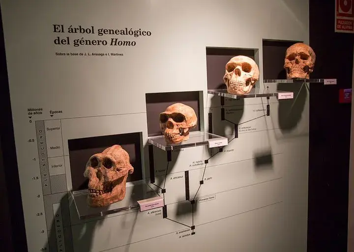 Kto był pierwszy na świecie? Odkryj fascynujące historie i fakty