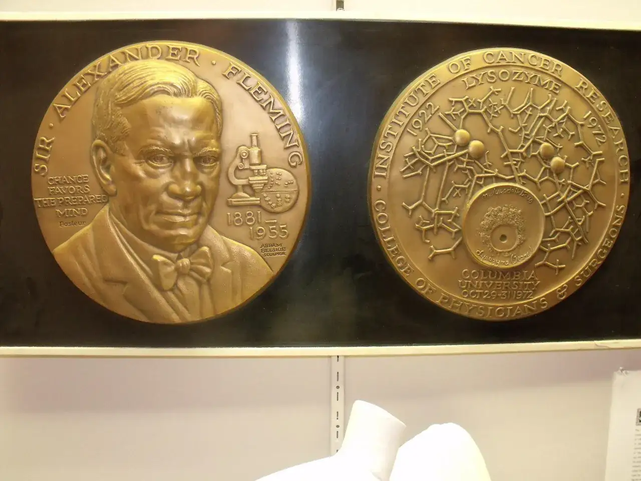 Medal z podobizną Sir Alexandra Fleminga, który odkrył penicylinę, jednego z pierwszych antybiotyków.