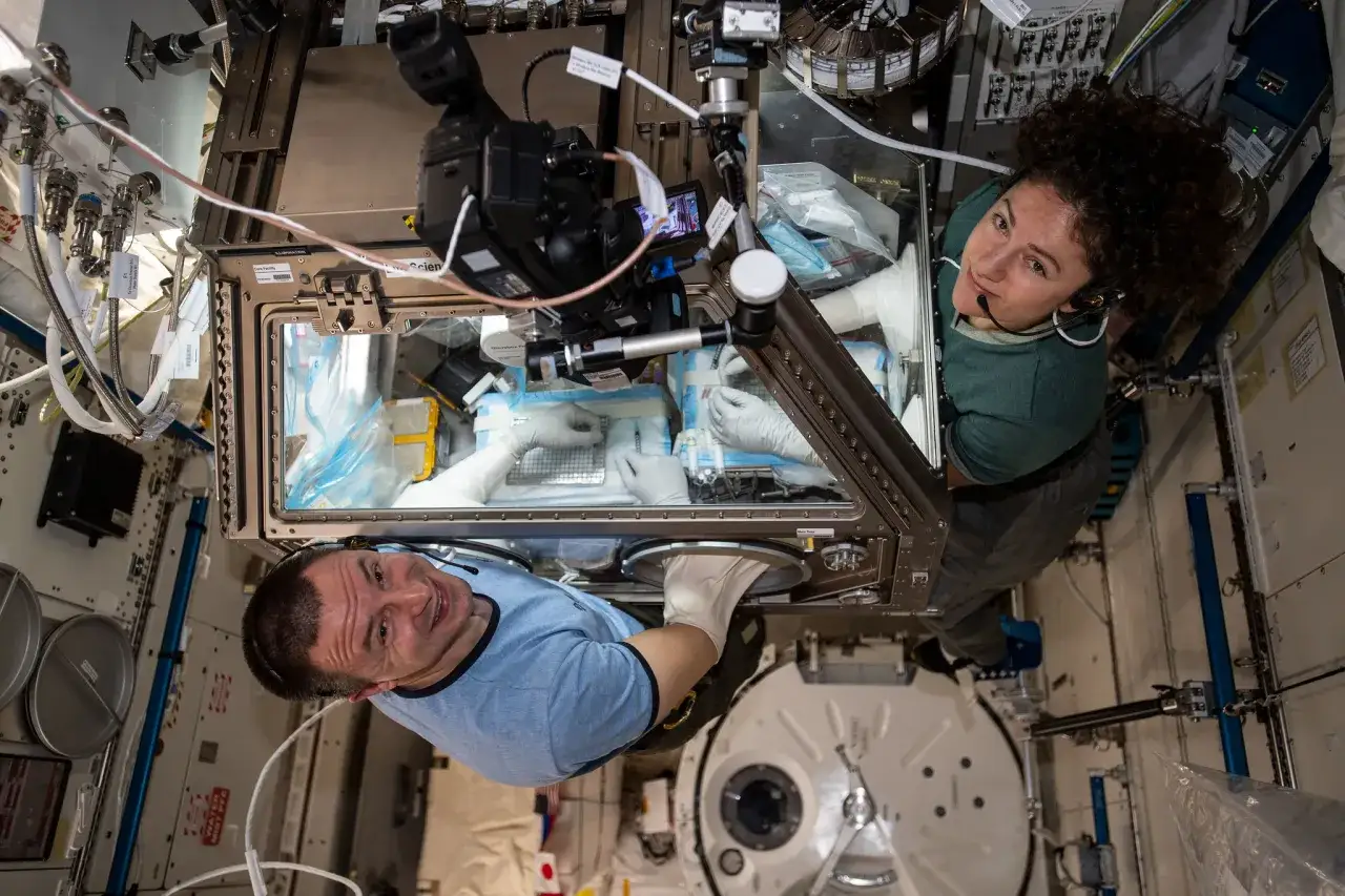 Astronauci pracują wewnątrz stacji kosmicznej, wykonując eksperymenty w specjalnej komorze.