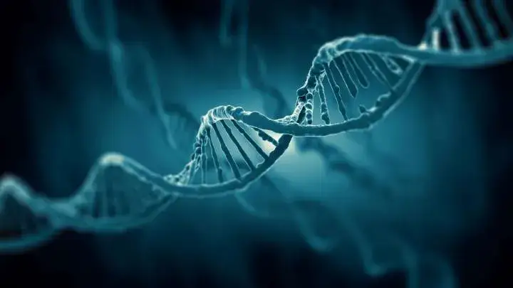 Zdjęcie Kiedy wynaleziono badania DNA i jak zmieniły kryminalistykę
