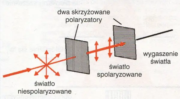 Polaryzacja światła - Co to jest i do czego służy?