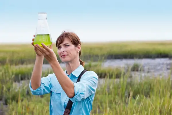 Ekologia - Jak odkrycia zmieniły myślenie o naturze?