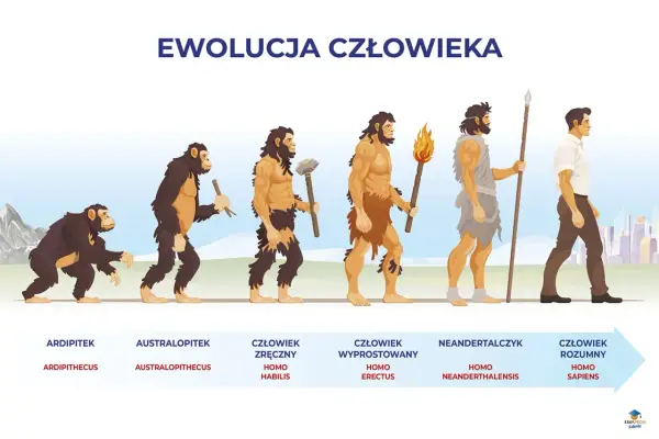 Ewolucja człowieka - Co naprawdę wiemy? Odkryj fakty!